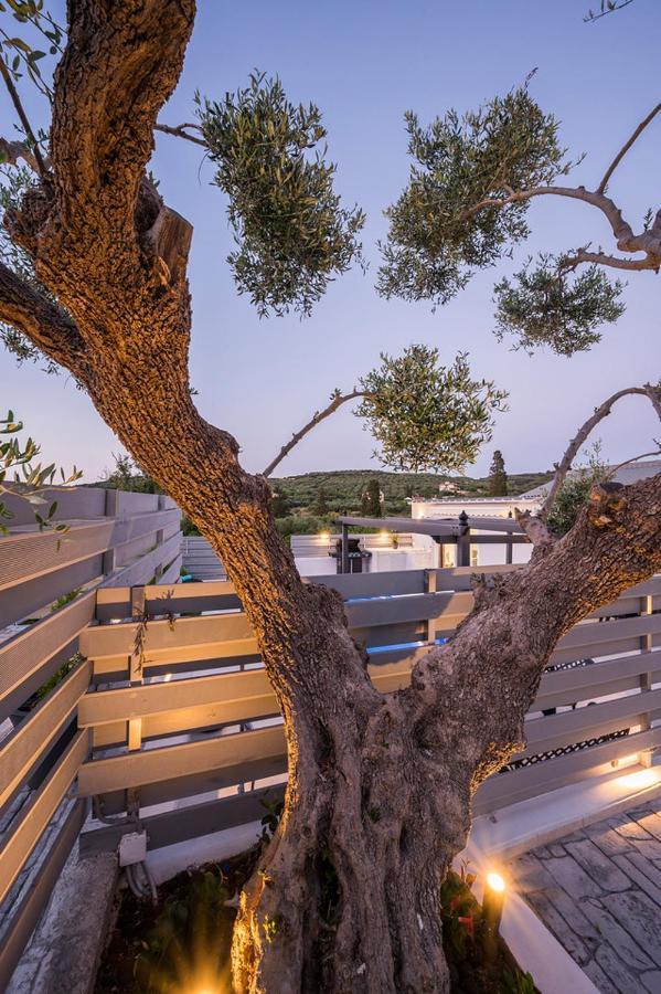 B&M Villas Metochi Siriliou Esterno foto